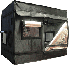 Seahawk Clone Tent